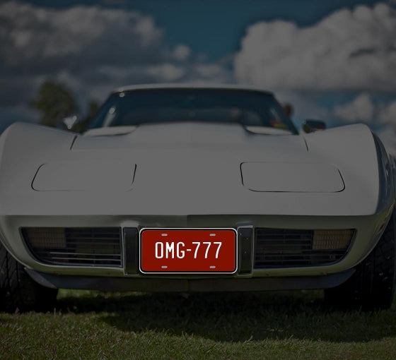 Reflective Funny License Plates