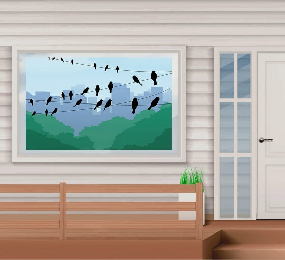 Window Decals For Birds